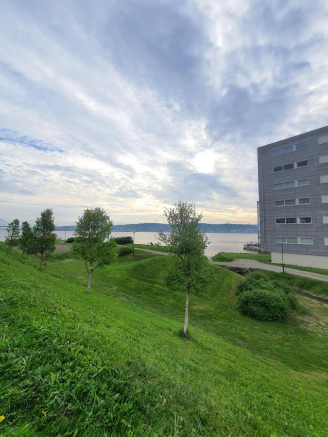 Northern Dreams Apartment With Free Parking Tromsø Eksteriør billede